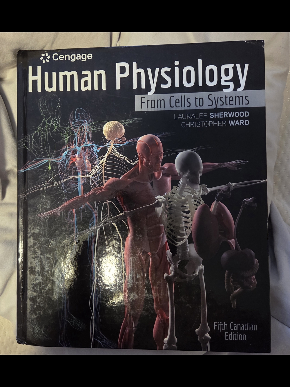 Cengage Human Physiology Textbook
